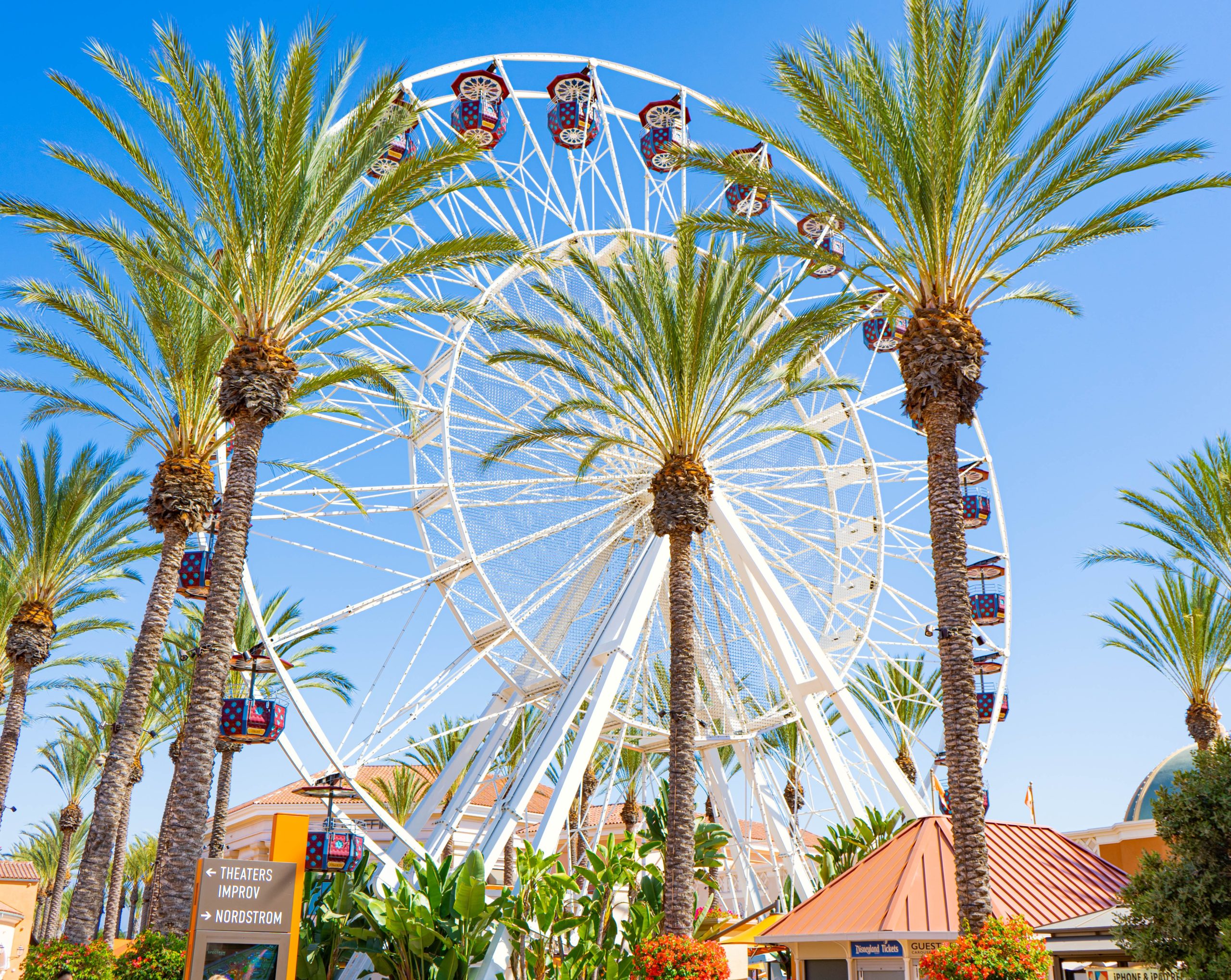 Scott-Gunther-Realtor-Irvine